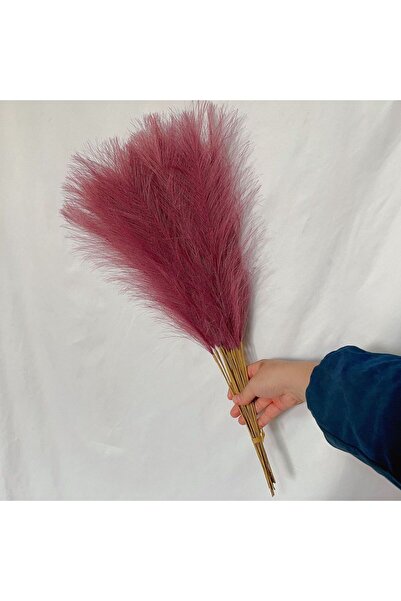 Choice 10 قطع من نبات البامباس الناعم البنفسجي الفاتح 55 سم، 10 قطع من نبات ا...