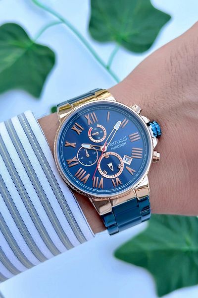 Ferrucci Function Men's Wristwatch Steel Strap Steel Case 3 Atm Water Resistance