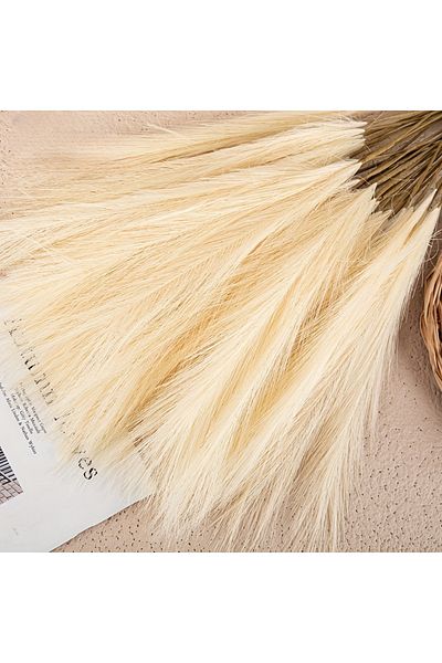 Choice Light yellow 10pcs Faux Pampas Grass, Pampas Grass For Floor Vase, Pampas Grass Decor Tall For Vase