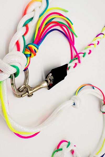 PETSWUU Multicolor Dog Hands Free Running and Walking Collar