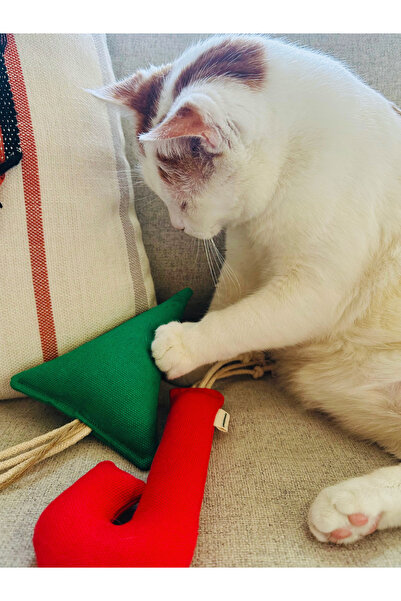 Pet And Planet Cotton and Nature-Friendly Cat Toy Walking Stick Candy - Cat Mint