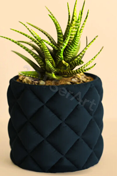 3D SerArt Tasarım Sukulent Saksısı Ev Dekorasyon 3d Üretim Plastik 7x7x5.5 Cm