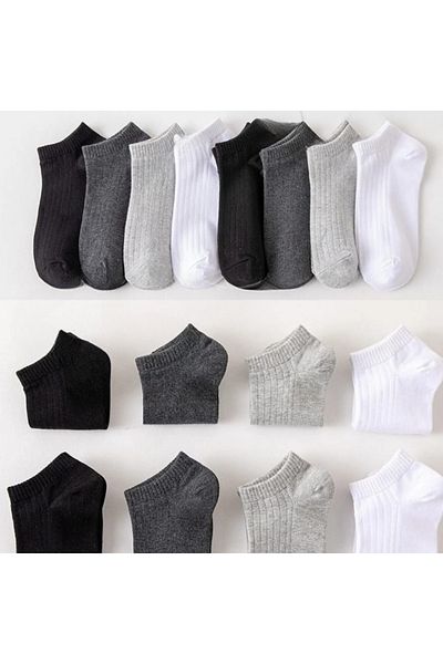 Asçelik Unisex 8 Pairs Cotton Basic Derby Socks
