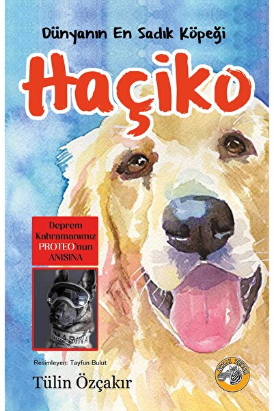 Akıllı Zebra Dünyanın En Sadık Köpeği Haçiko