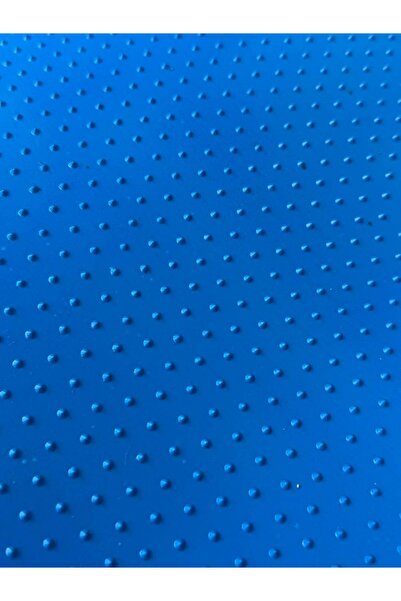 Ammeral Beltech Gıda Sınıfı Sonsuz Konveyör Bant 450x66cm