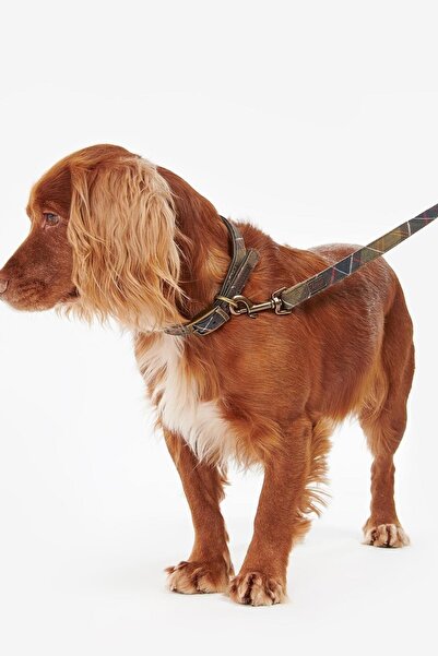 Barbour Tartan/webbing Köpek Tasma Kayışı Tn11 Classic Tartan