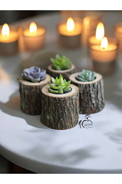 Krb Ahsap Sukulent Ve Kaktüsler İçin Dekoratif Ahşap Mini Kütük Saksı, 4 Adet...