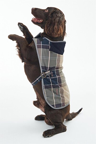 Barbour Wetherham Ekose Köpek Montu Pı19 Gardenia Tartan