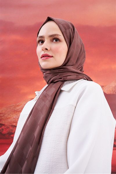 carell Soft Brown Checkers Jacquard Italian Silk Shawl