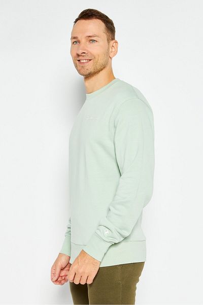Champion Men Sportswear Fit Long Sleeves Outdoors Sweatshirts, Sage