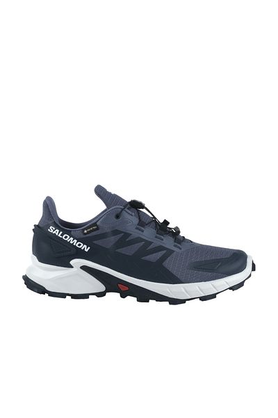 Salomon Men's Running & Training Shoes Gray L 47462300