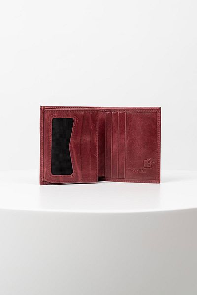 BAYDERİ Lisande Genuine Leather Polite Men's Wallet