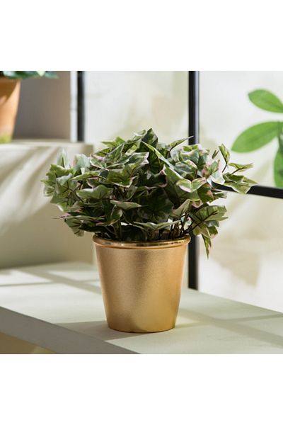Home Box Liara Ivy Leaves Potted Plant 28 cm