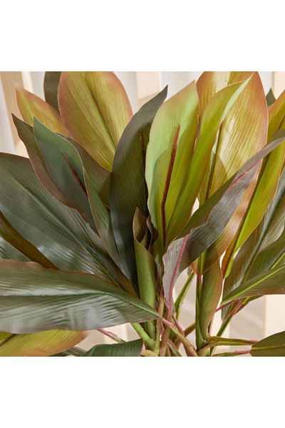 Home Box Triton Realtouch Artificial Cordyline Fruticosa Plant with Pot 45x45x58 cm