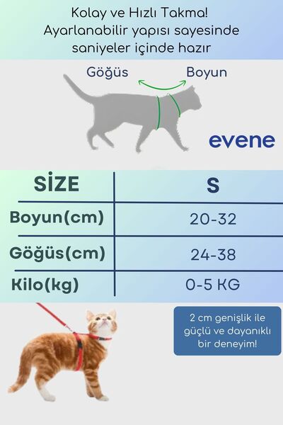 Evene طوق للقطط، حزام للقطط، خصر قابل للتعديل، متين، رمادي