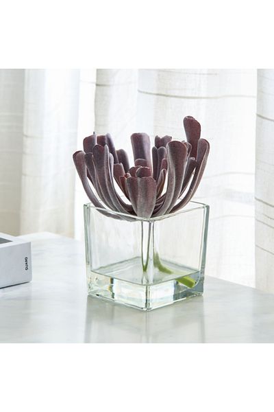 Home Box Liara Succulent Pick in Glass 17x17x18 cm