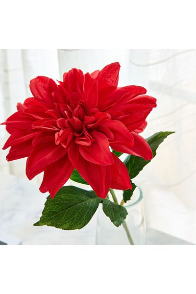 Home Box Liara Dahlia Flower Arrangement with Still Water in Glass Bottle 30 cm