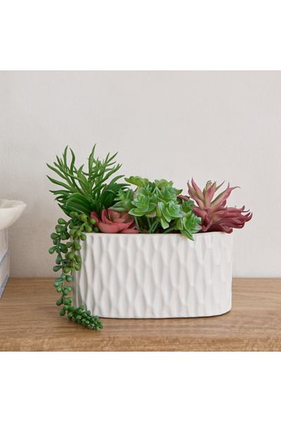 Home Box Ceilo Succulents Arrangement in Oval Ceramic Pot 20x11x20 cm