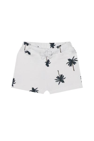 Antebies شورت النخيل