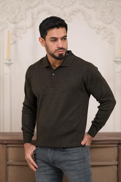 Woolen World Мъжки вълнен трикотажен пуловер с поло яка, обикновен цвят