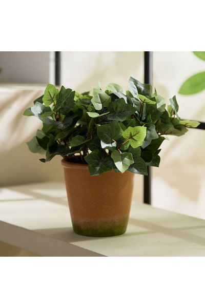 Home Box Liara Ivy Leaves Potted Plant 28 cm