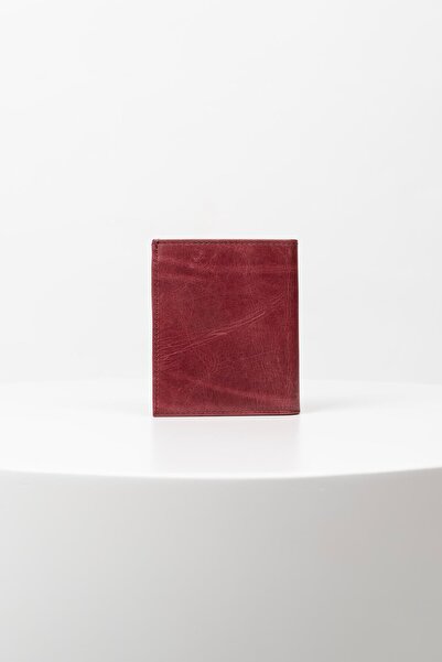 BAYDERİ Lisande Genuine Leather Polite Men's Wallet