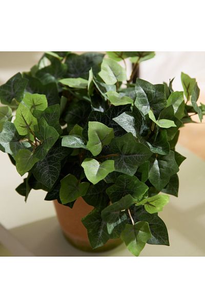 Home Box Liara Ivy Leaves Potted Plant 28 cm