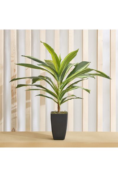 Home Box Triton Realtouch Artificial Dracaena Fragrans Plant with Pot 30x30x58 cm
