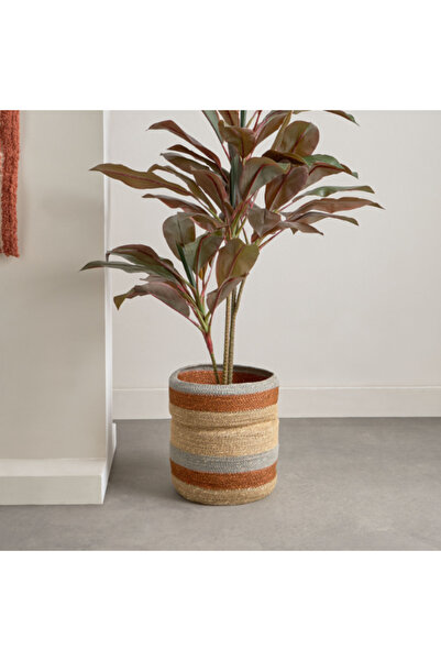 Home Box وعاء زراعة عشب البحر نوير 26×26×30 سم