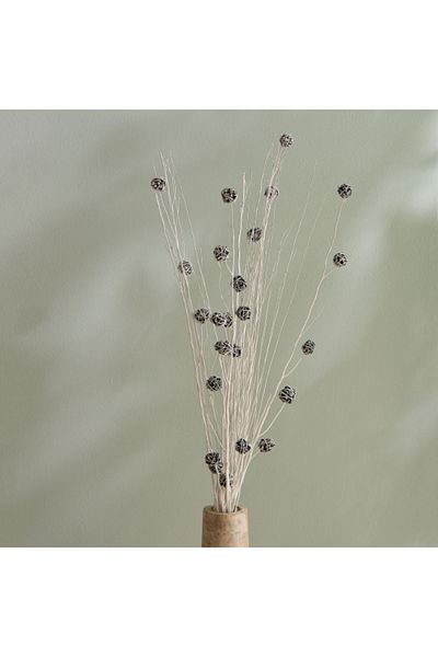 Home Box Seyna Dried Floral Bud Deco Sticks