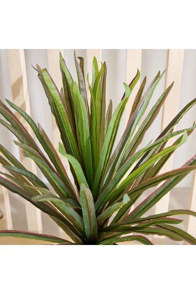 Home Box Triton Realtouch Artificial Yuccas Plant with Pot 45x45x58 cm
