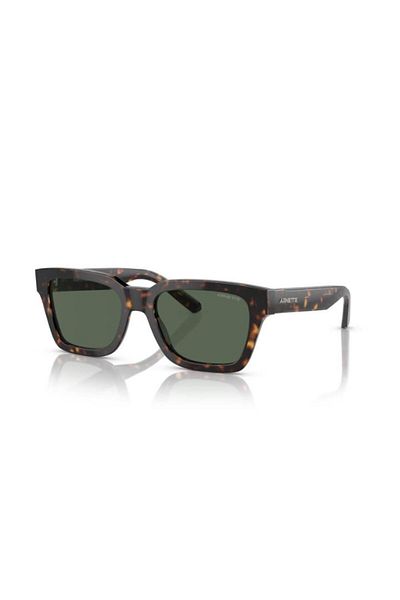 ARNETTE Sunglasses An4334 53 122271