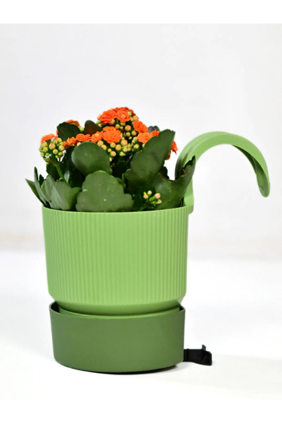 BiDünya 2 Litre Iksora Tek Askılı Saksı Dekoratif Balkon Saksısı Tabaklı Mat ...