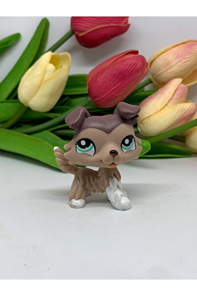 Littlest Pet Shop lps miniş