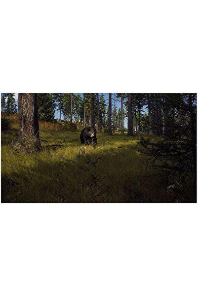 THQ Nordic Way Of Hunter - Ps5 Oyun