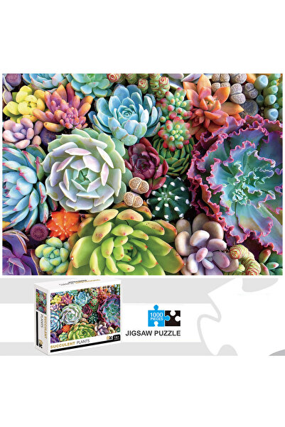 Choice نباتات عصارية 1000 قطعة ألغاز نباتات عصارية ديكور منزلي ألعاب ألغاز لل...