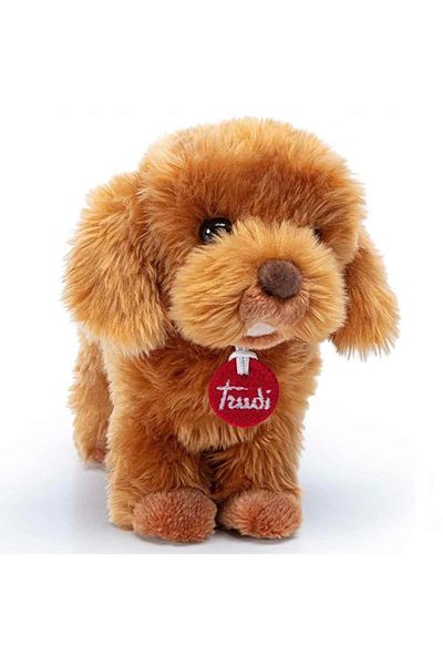 Çelik Nessiworld Trudi Plush Toy Poddle Oliver Dog 20 cm