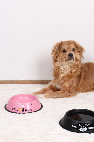 GOBYPET 18 cm Colorful Metal Food and Cat Dog Water Bowl