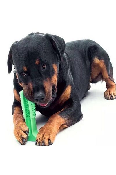 GOBYPET جهاز عض فرشاة أسنان الكلاب حجم كبير، واقي أسنان الكلاب باللون الأخضر