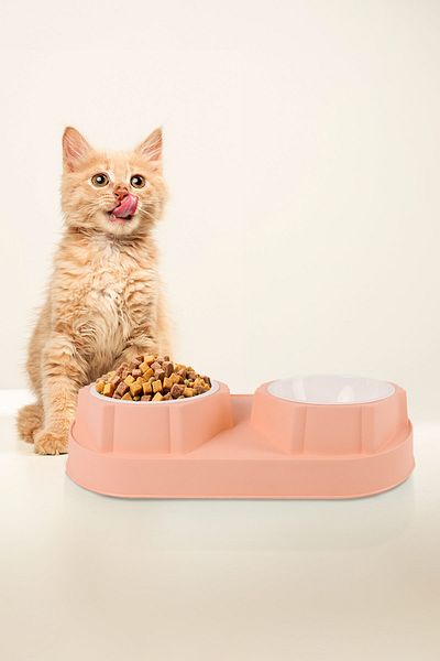 GOBYPET 2-Piece and Double Cat Dog Food and Water Bowl - Elevated Inclined