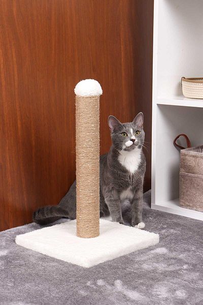 GOBYPET لوح خدش للقطط بألوان مختلطة