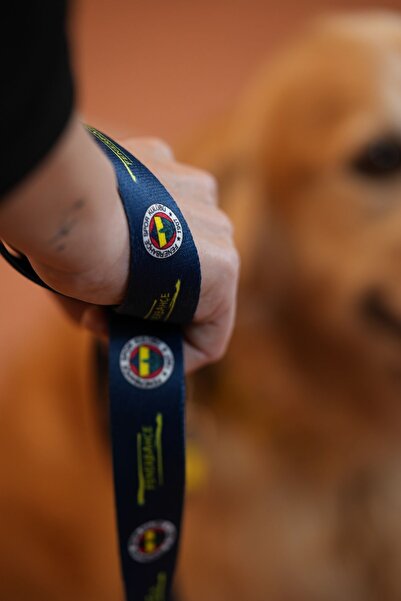 PAWLOOK Fenerbahçe, lacivert Logo, Köpek Tasması, köpek Gezdirme Kayışı