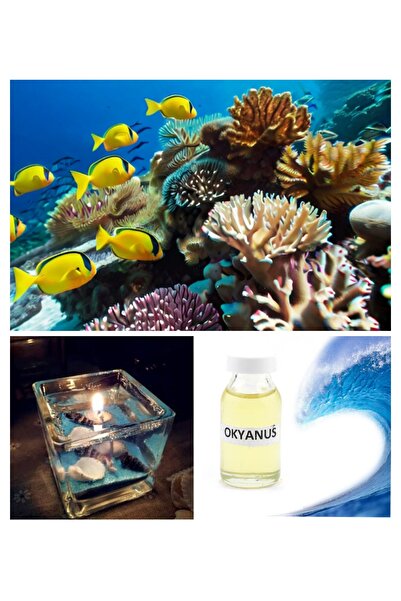 DOĞAN MUM Mum esansı okyanus kokusu jel parafin mum esansı