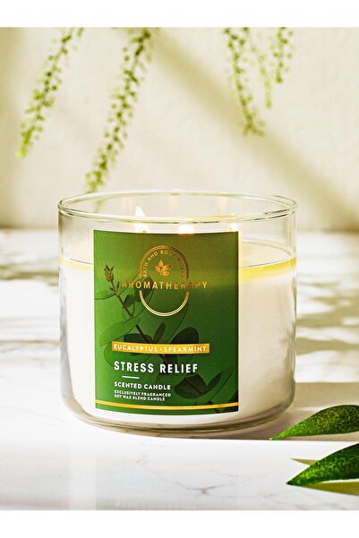 Bath & Body Works Eucalyptus Spearmint  Büyük Mum 411 g