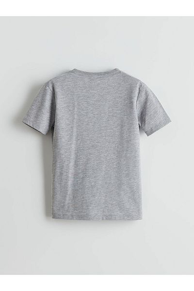 LC Waikiki Lcw Eco Crew Neck Boy T-Shirt