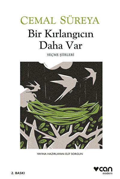 Can Yayınları Bir Kırlangıcın Daha Var