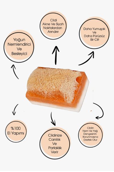 Caria Natural Pumpkin Fiber Donkey Milk Honey Soap