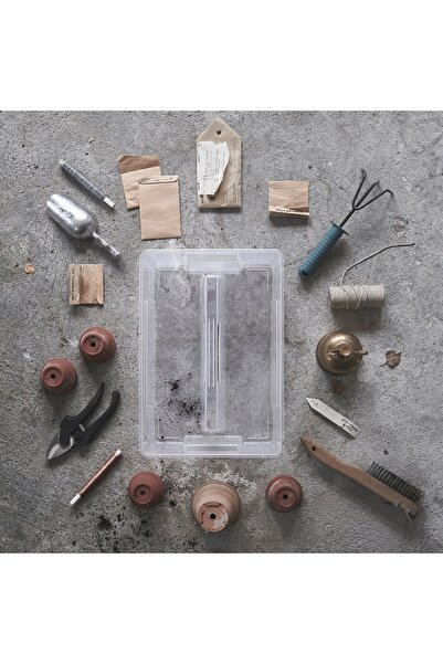 erorex Insert for box 11/22 l, transparent, 37x25x12 cm