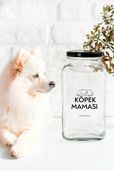 LALEZEN HOME Dog Food Jar Storage Container
