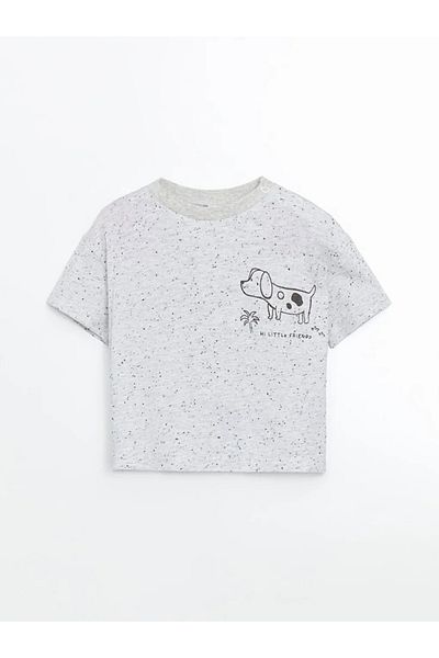 LC Waikiki Lcw Baby Gray Crew Neck Baby Boy T-Shirt and Pants 2-Piece